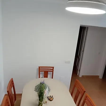 Isabel 托雷维耶哈